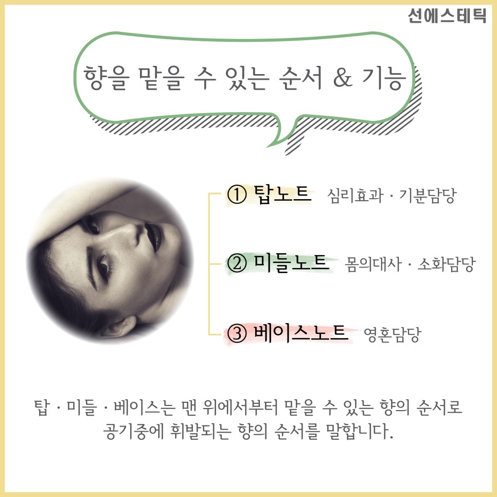 선아로마 이미지