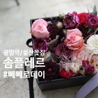 플레르솜 이미지