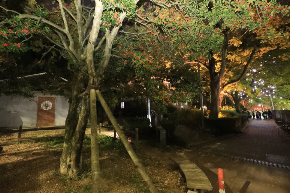 달빛살롱 이미지