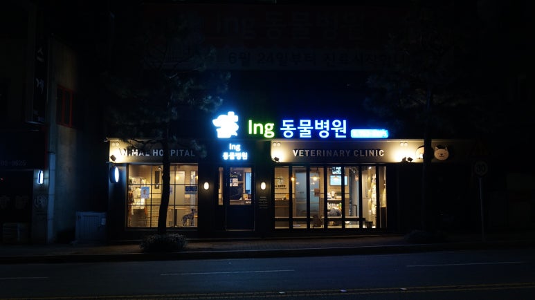 아이앤지(ing) 이미지