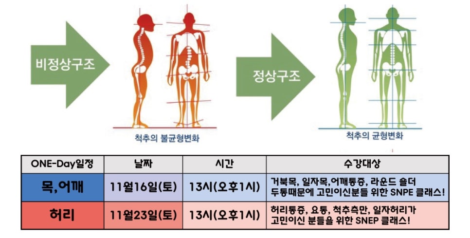 일산SNPE바른자세척추운동 이미지