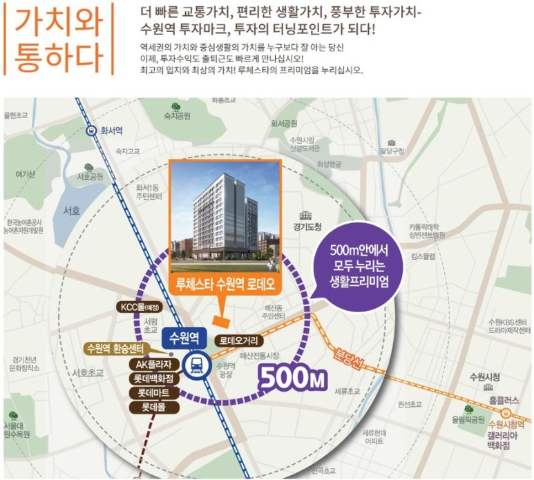 스타정보 이미지