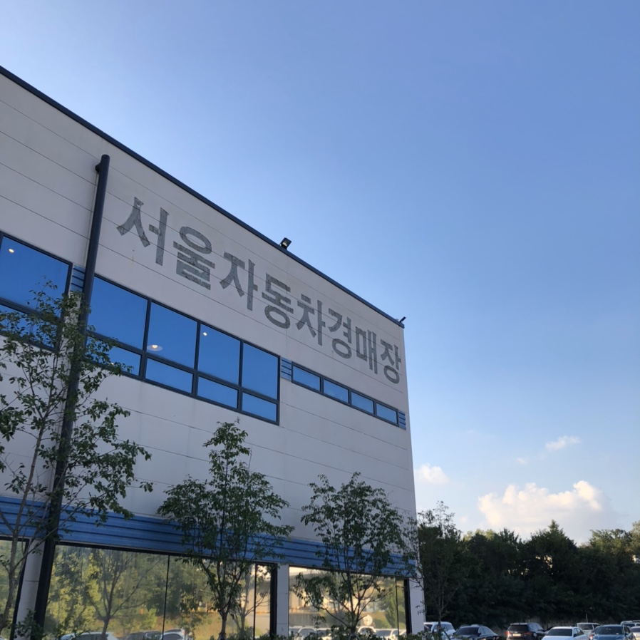 카핑 이미지