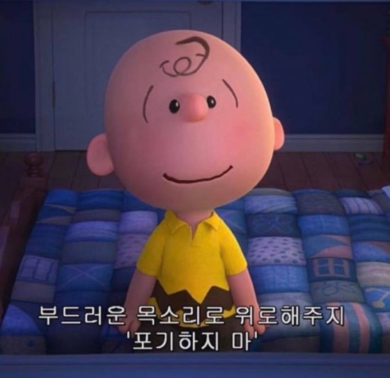 오름교육 이미지