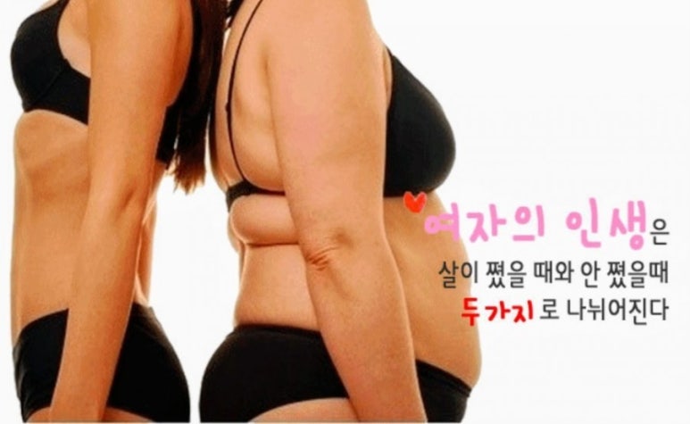 클럽밸런스5 이미지