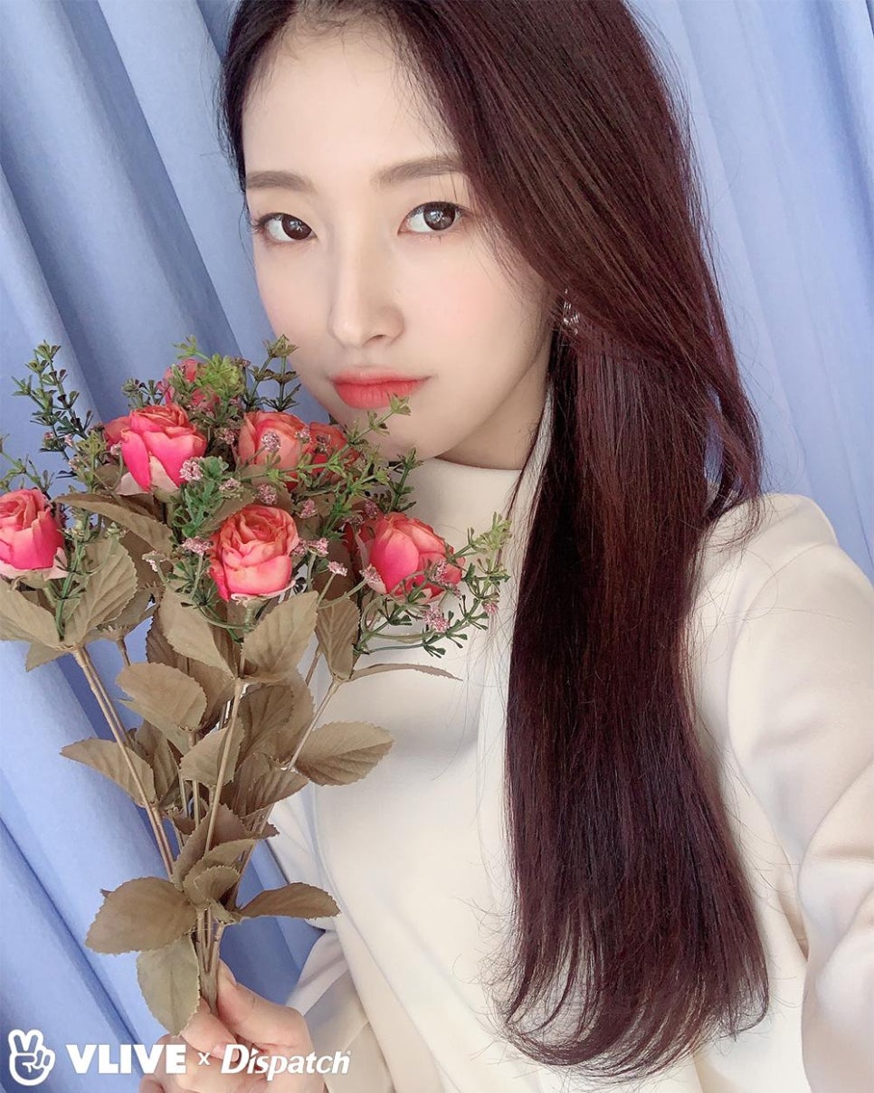 예호 이미지