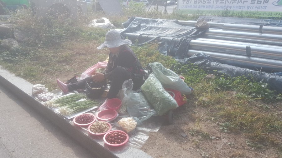 만물약초상회 이미지