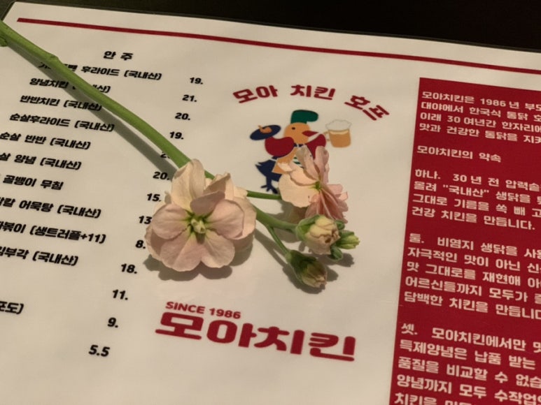 모아치킨 이미지