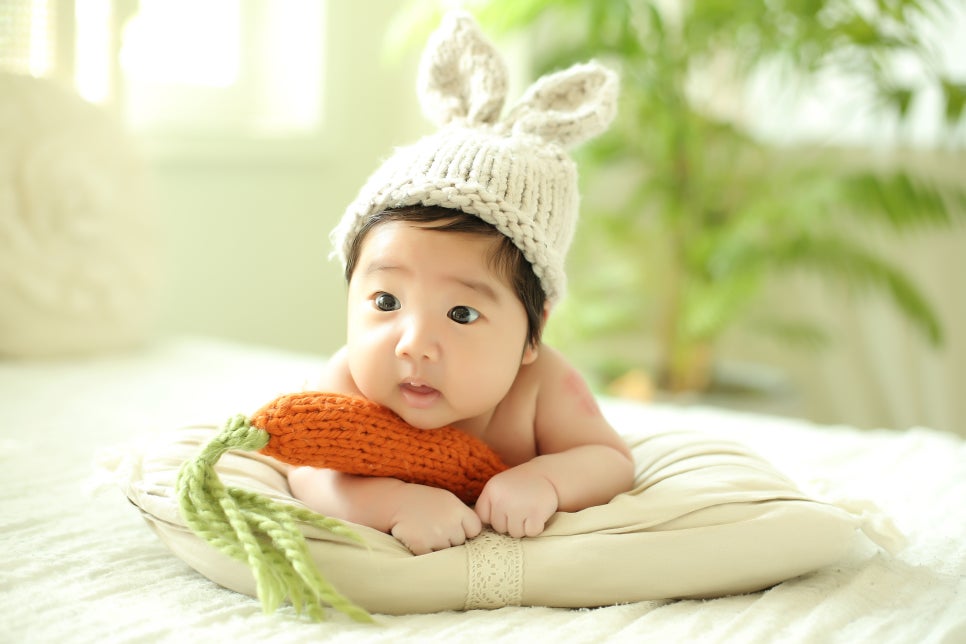 벌스데이스튜디오 이미지