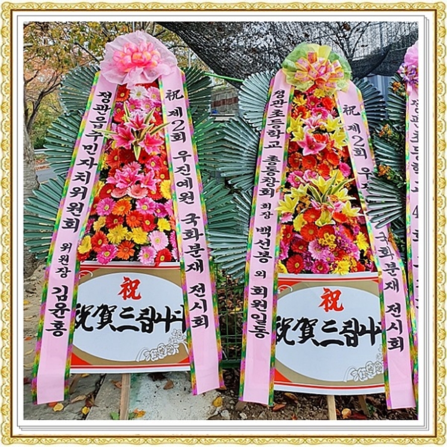 예원분재 이미지