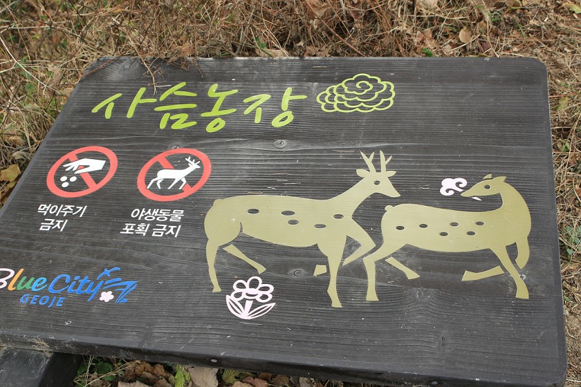 대가민박 이미지
