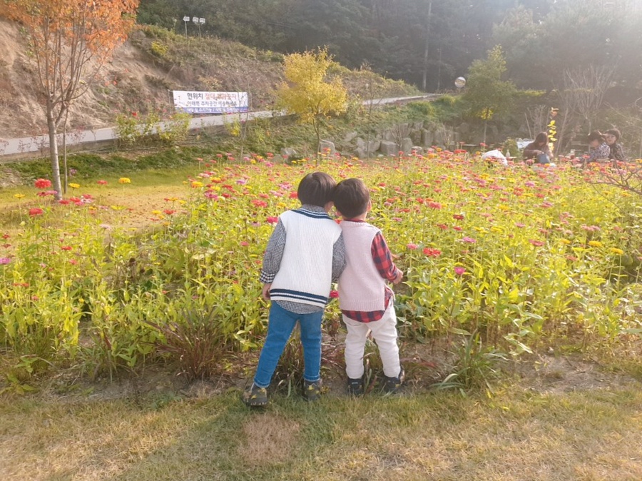 꽁냥꽁냥 이미지