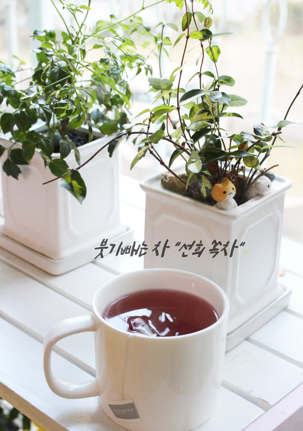 선희야식 이미지