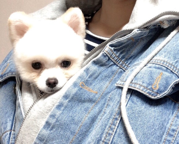 카페샐럽 이미지