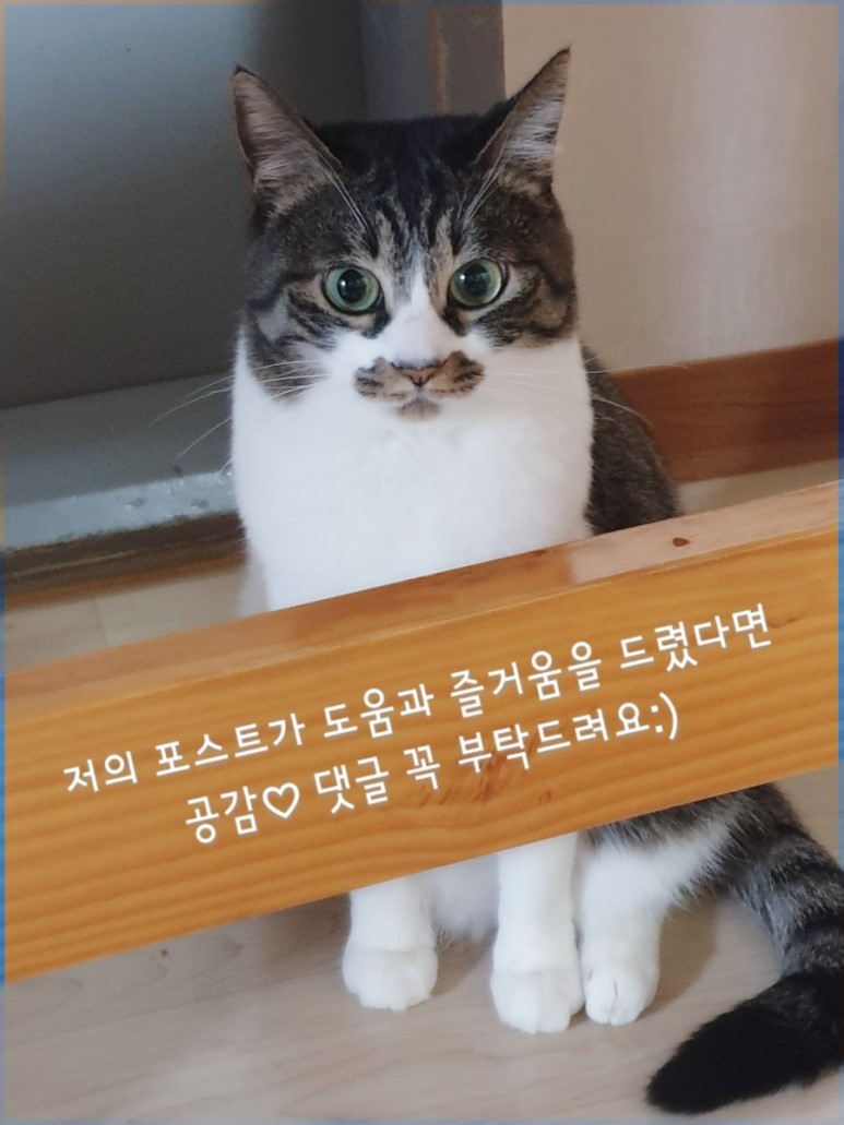 하우스네일(House nail) 이미지