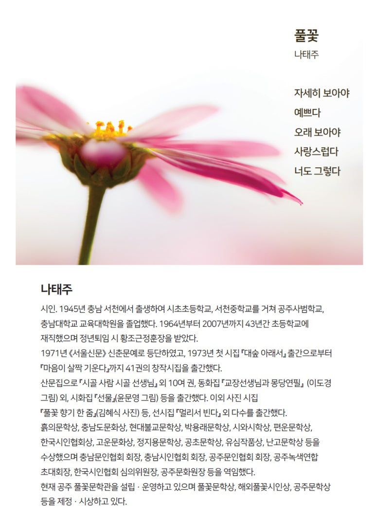 노래마을 이미지