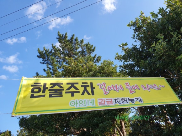 아연네감귤체험농장 이미지
