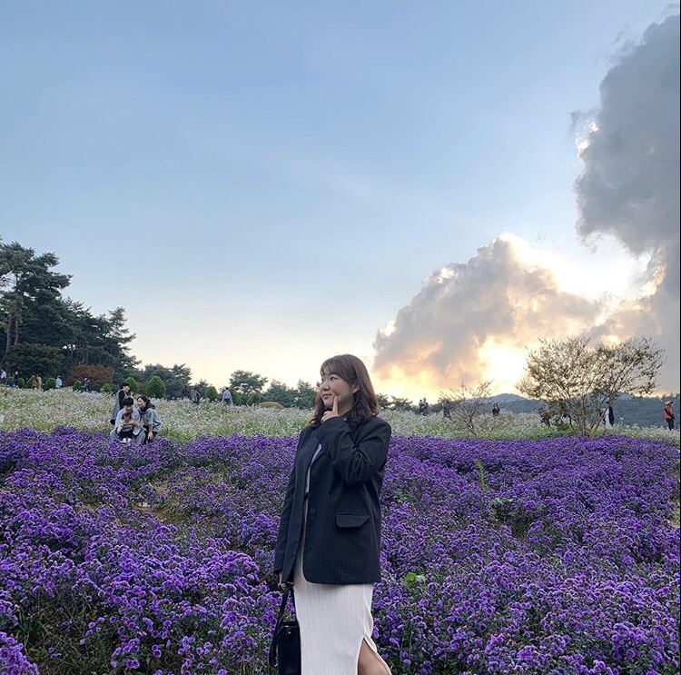 꽃나드리 이미지