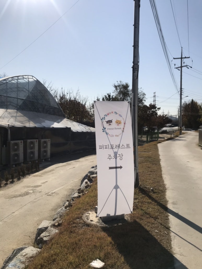 퍼피포레스트 이미지