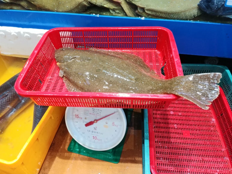스텔라파티룸 이미지