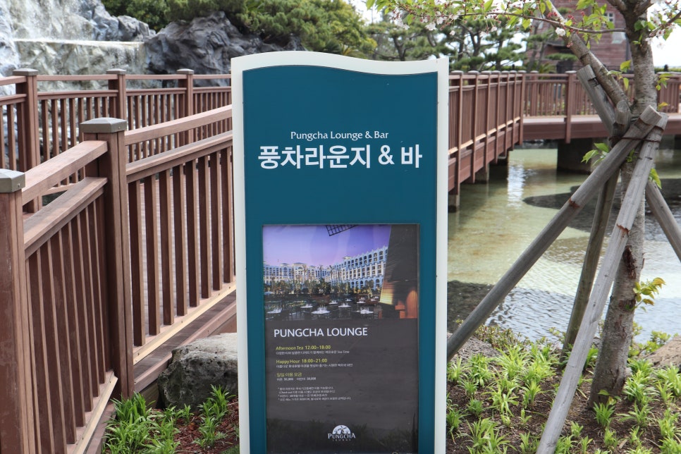 올레삼다정 이미지