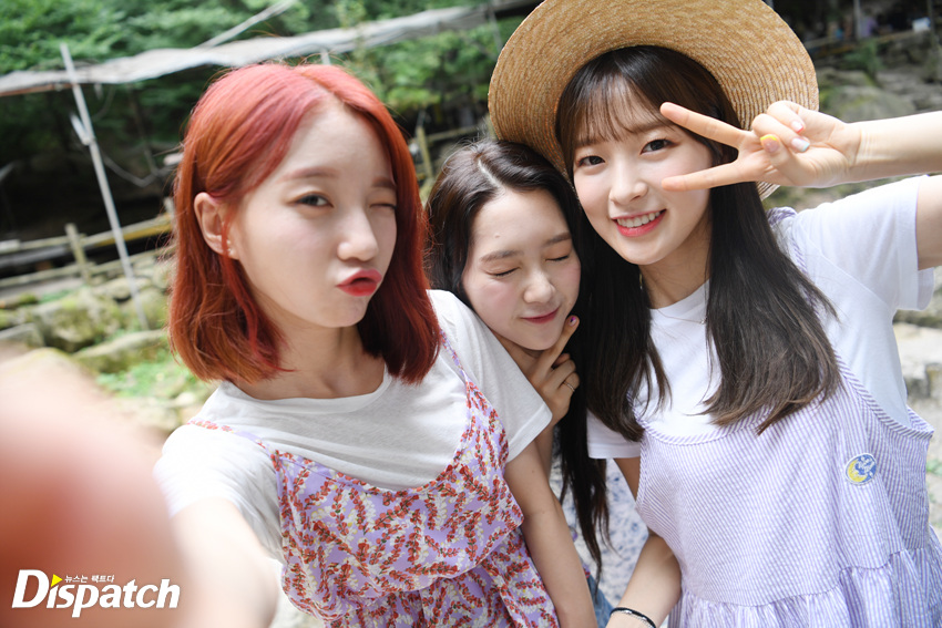예호 이미지