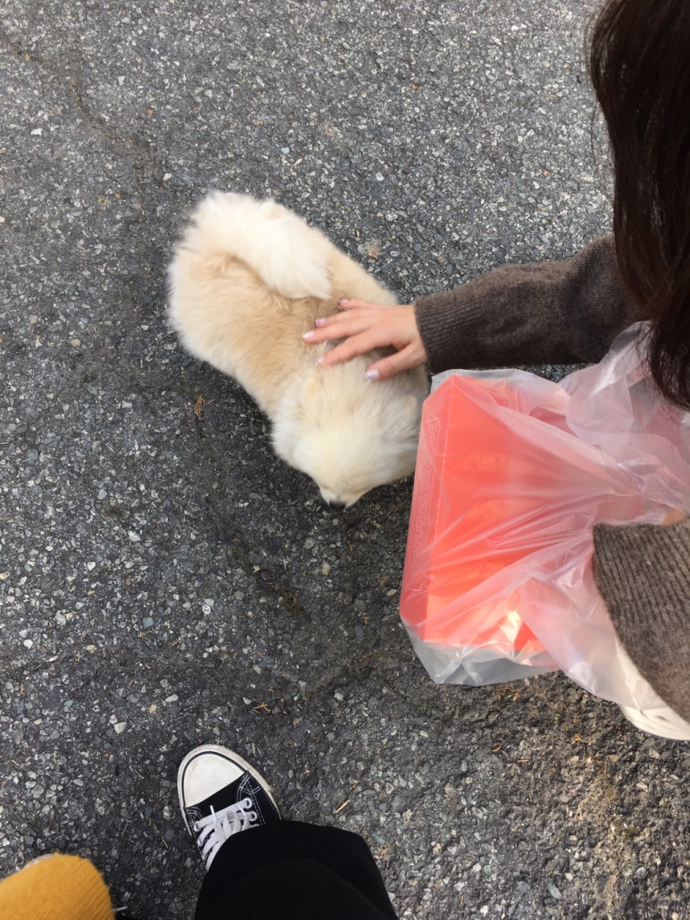풍년곱창 이미지