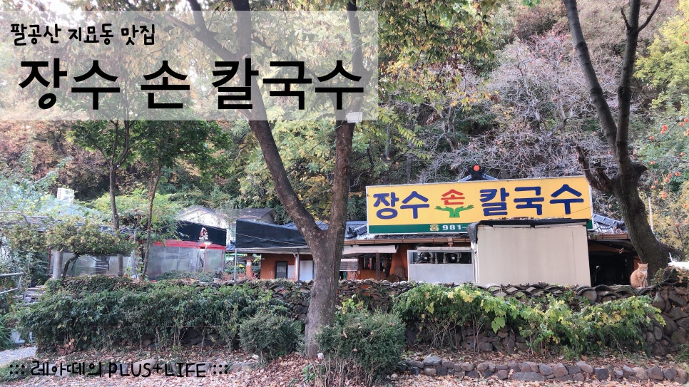 장수손칼국수 이미지