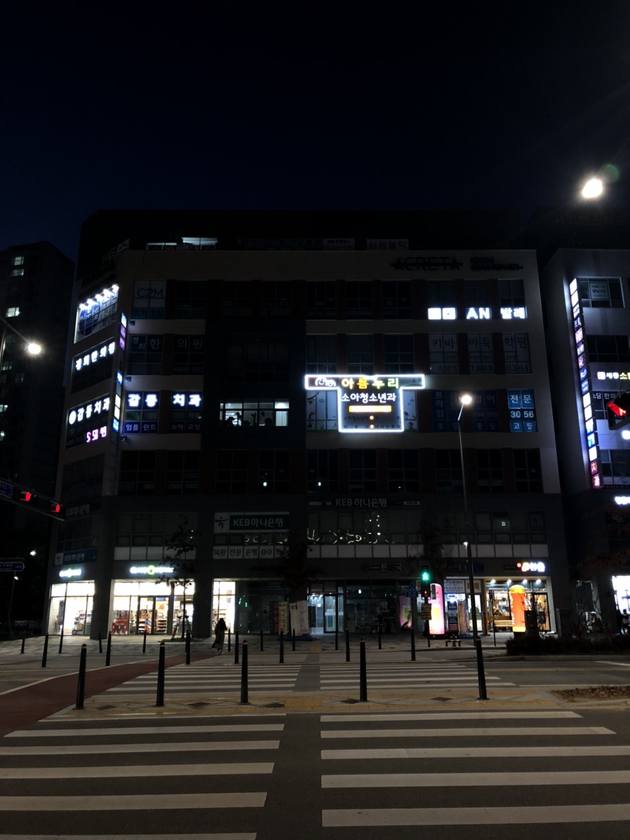 에스테티아세종소담 이미지