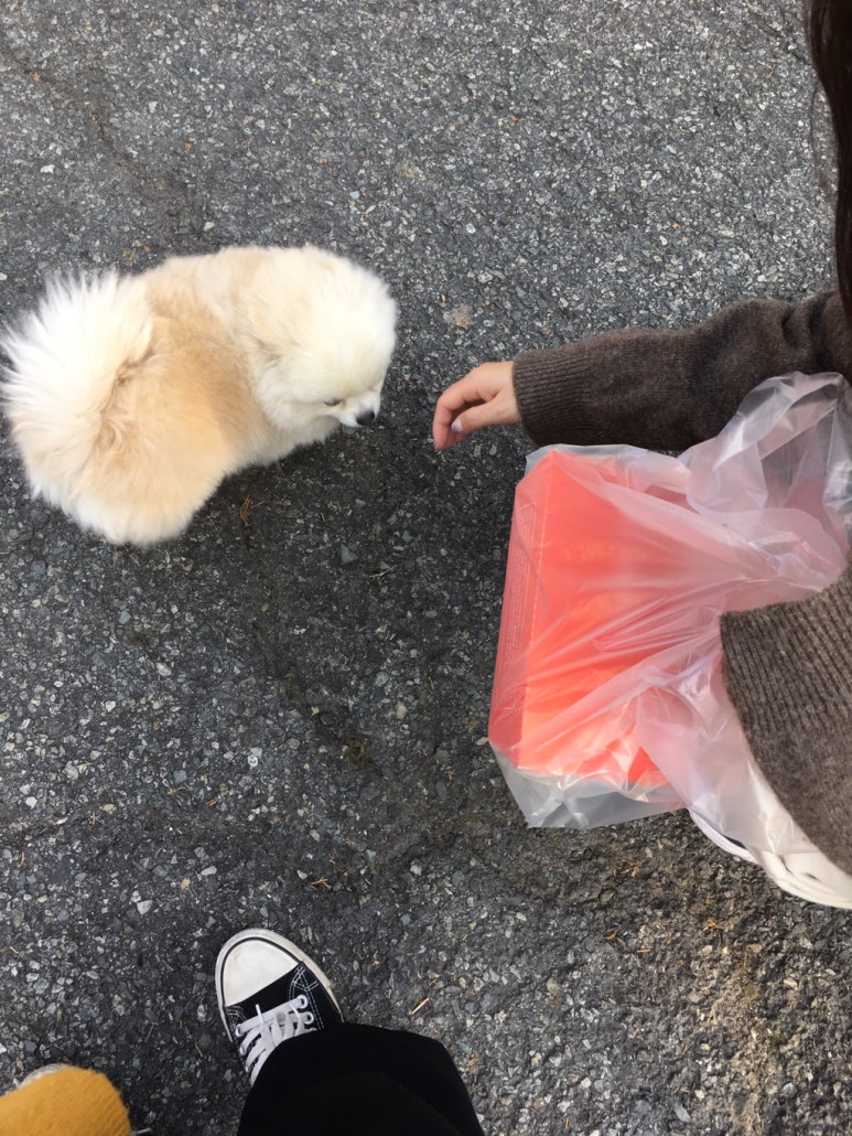 풍년곱창 이미지