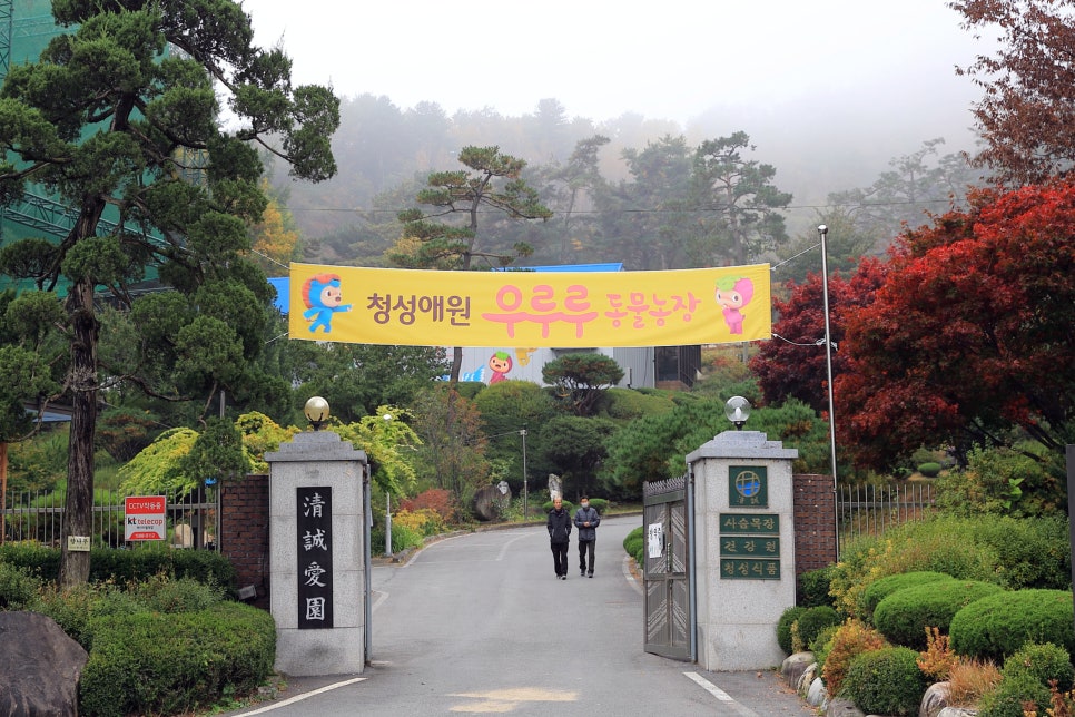 청성애원(주) 이미지