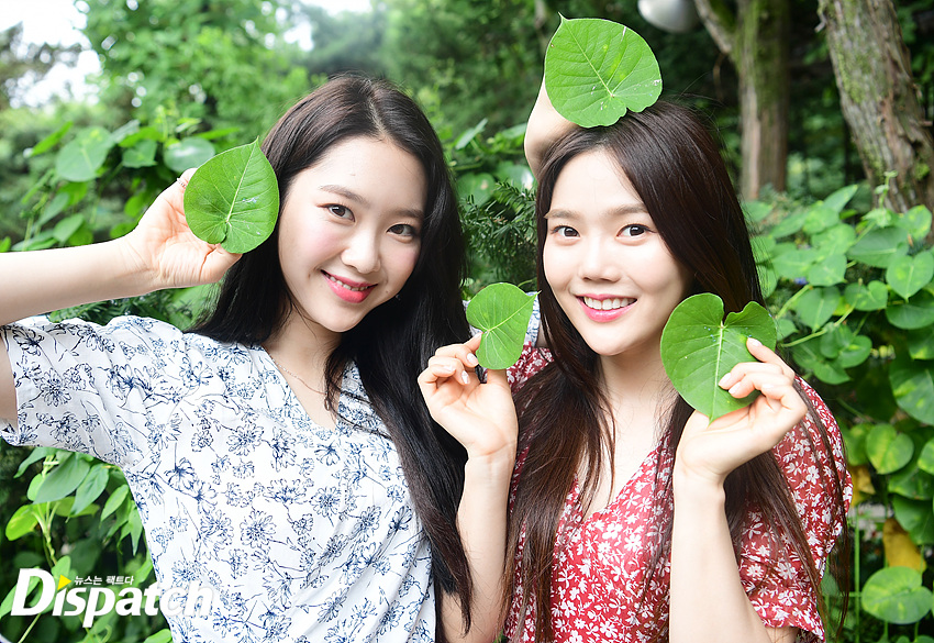 예호 이미지