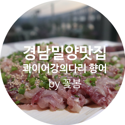 향어마을 이미지