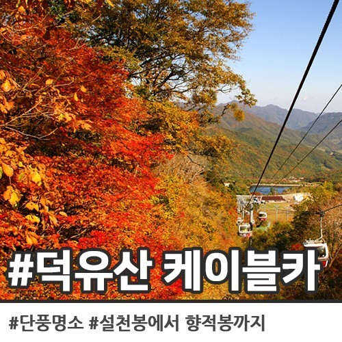 청주상사 이미지