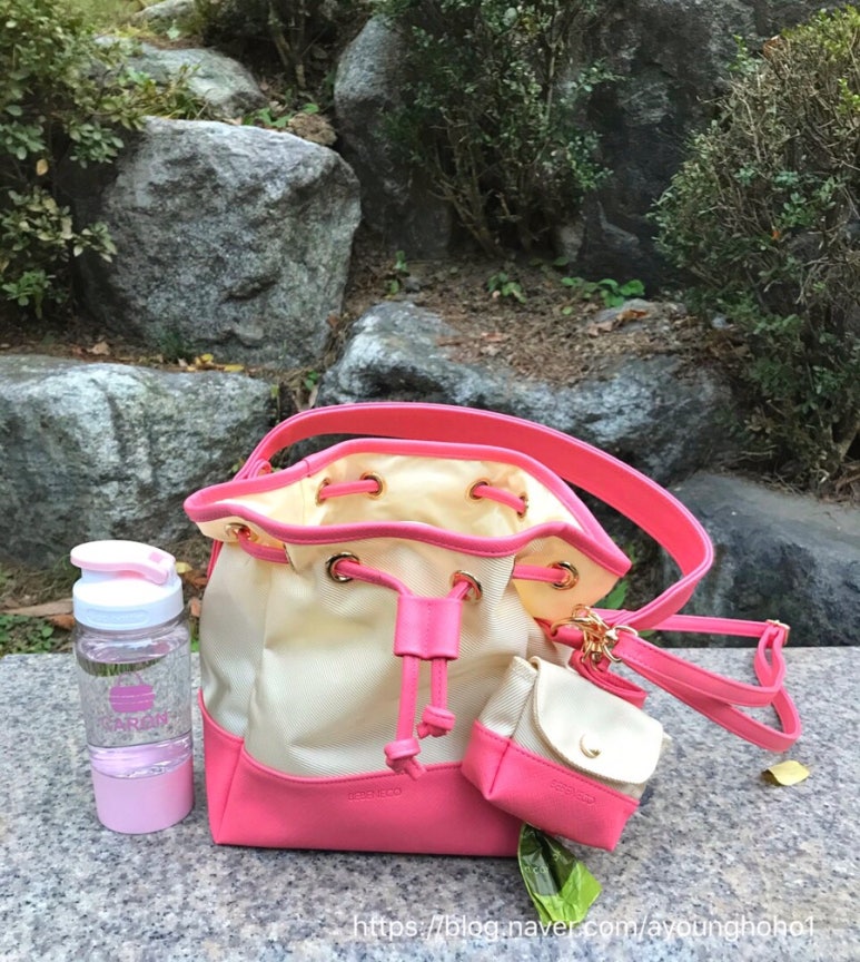 백카롱 이미지