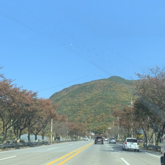 팔공산식자재마트 이미지