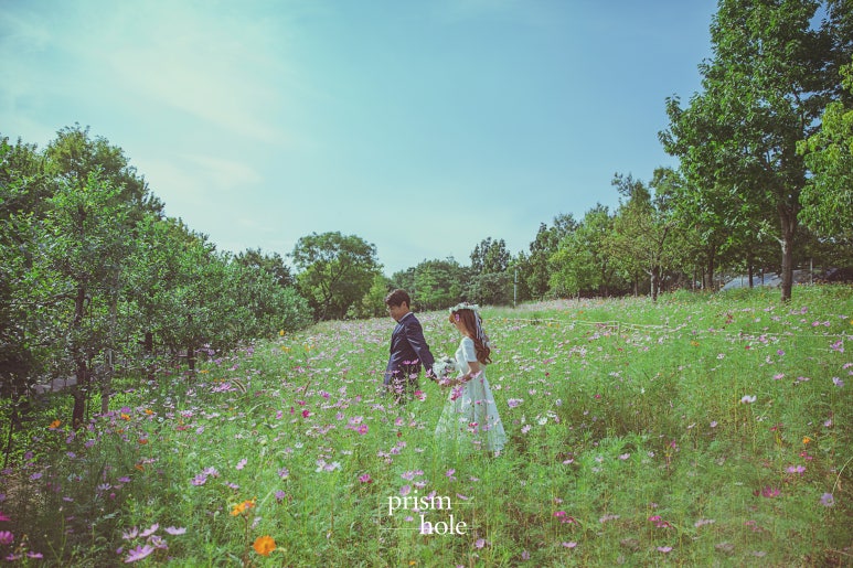 프리즘스튜디오 이미지