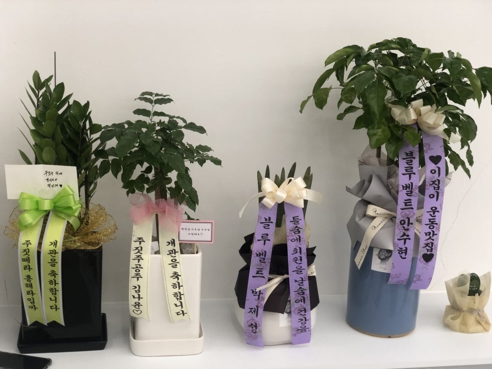 크린토피아오창 이미지