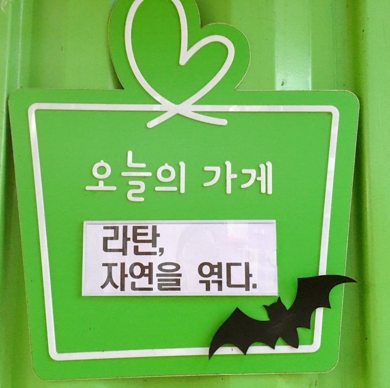라탄;자연을엮다 이미지