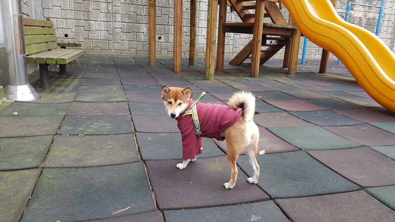 가람컴퍼니 이미지
