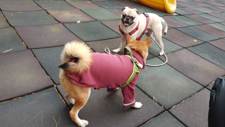 가람컴퍼니 이미지
