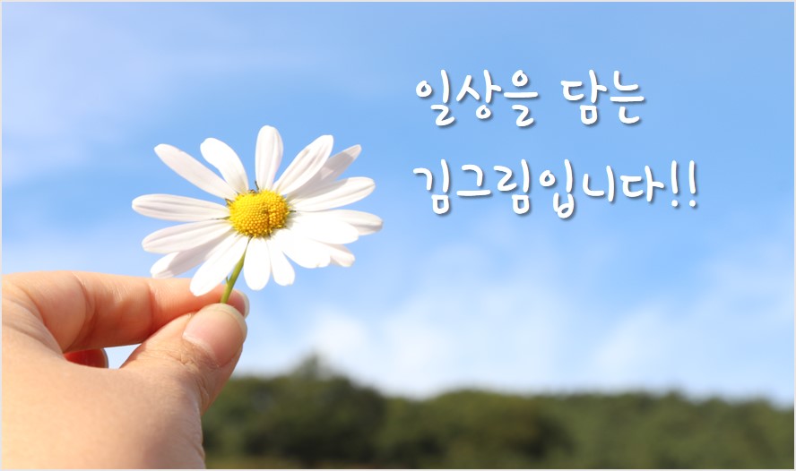 낭만고양이네일샵 이미지