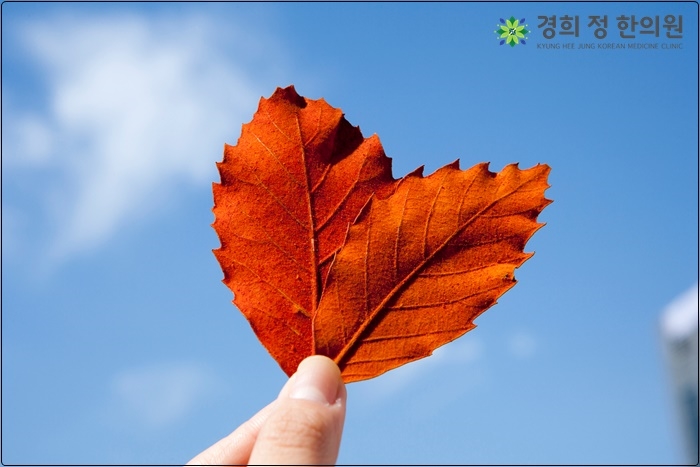 경희정한의원 이미지