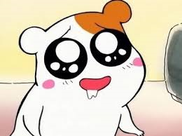 와구아구 이미지