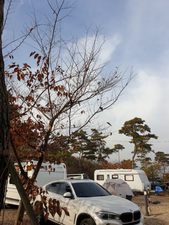 칠성캠핑장 이미지