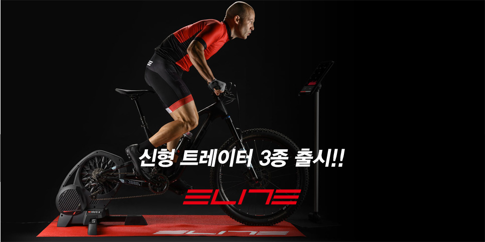 엘리트수 이미지