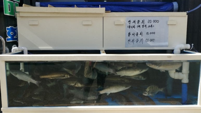깔끄미횟집&참치 이미지