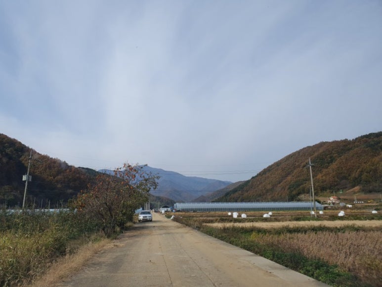 산아래토마토 이미지