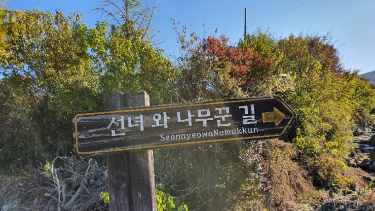 다송지가 이미지