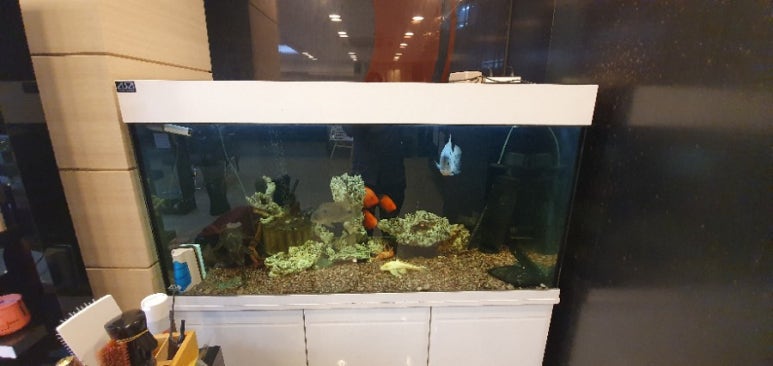 살롱드라보떼 이미지